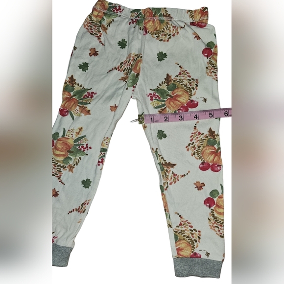 Burt's Bees Kids Boy Girl Thanksgiving Celebration Organic 2pc PJ Set Sz 3T - Picture 12 of 16
